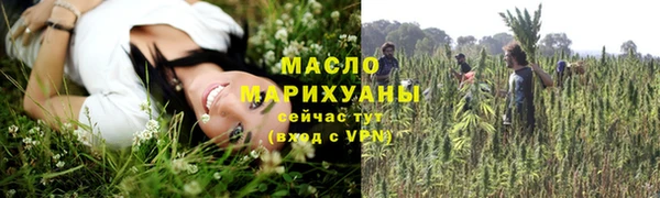 тгк Абаза