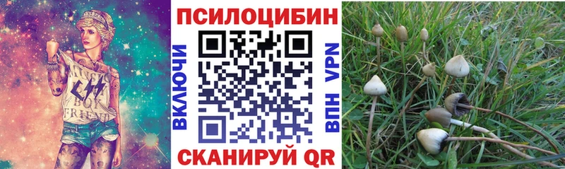 Галлюциногенные грибы GOLDEN TEACHER  блэк спрут маркетплейс  Урус-Мартан 